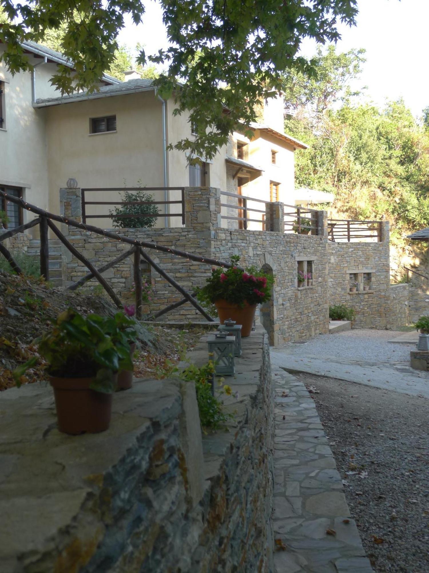 Vergopoulos Oliveyard Mouresi Luaran gambar